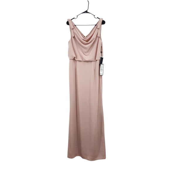 Adrianna Papell Dresses & Skirts - Adrianna Papell Women's Blush Ribbon Shoulder Cowl Neck Formal Maxi Dress Sz 10